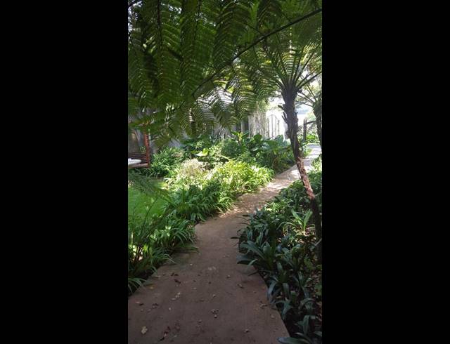 14 BEDROOM HOUSE FOR SALE IN BRYANSTON